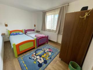 MOGA House - Tîrnăveni - 5
