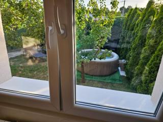 Violeta guest house - Petrovaradin - 8