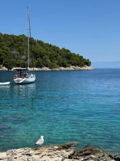 Apartman Nadia - Mali Lošinj - 9