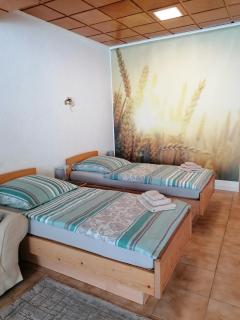 Schöne Wohnung im Herzen von Burgstädt - Burgstaedt - 7