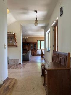 Cabana Micesti - Miceşti - 8