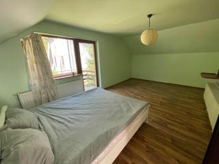 Cabana Micesti - Miceşti - 4