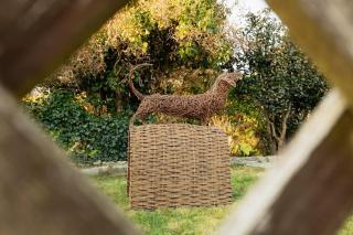 Historic Beachside Walled Garden Town House - Marazion - 5