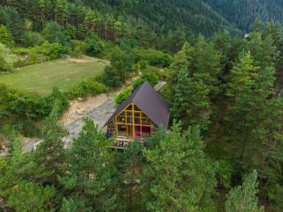 EcoCottage Didi Mindori - Bordzjomi - 0