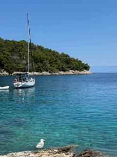 Studio Lorena - Mali Lošinj - 9