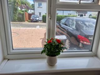 Cosy, quiet, studio flat - 5