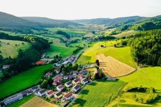 Ferien im Schwarzwald Dörlinbach - Dörlinbach - 4
