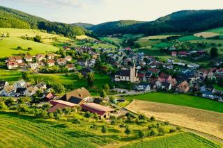 Ferien im Schwarzwald Dörlinbach - Dörlinbach - 2