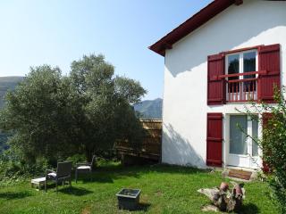 Chambres d'hôtes Idiartekoborda - Saint-Étienne-de-Baïgorry - 9