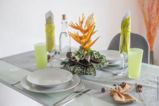 Patchouli au Refuge De Madiana à Schoelcher - 6