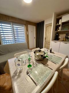 Appartement Perce-Neige - Thollon - 5