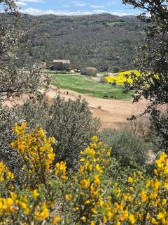 La Caseta del Solà,turisme slow a Torà - Sant Serni de Llanera - 9