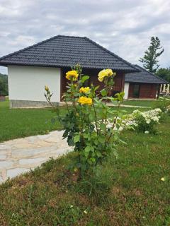 Vila Sofi - Zlatibor - 4