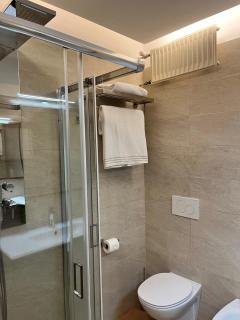 Hotel Pineta - Busto Arsizio - 9