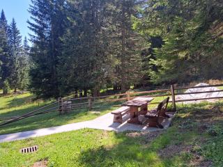 BRINA Pokljuka - Zgornje Gorje - 8