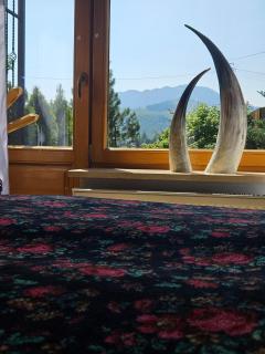Apartament Giewont z widokiem na góry - Split AC, Private Terrace, Private Parking - Kościelisko - 1