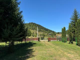 Vacation House Lunca Bradului - 8