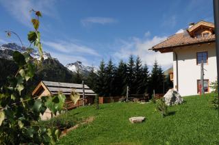 Design Chalet Zirm - check-in at Olympia Hotel - 4