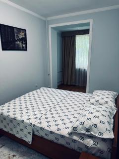 Classic Family Apart In The Center With 4 Rooms - Taschkent - 6