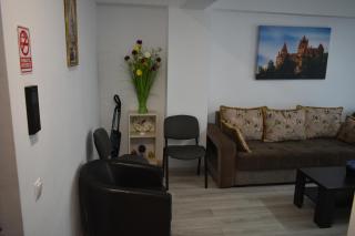 The Cozy apartment in the heart of Iasi - Iaşi - 9