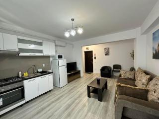 The Cozy apartment in the heart of Iasi - Iaşi - 3
