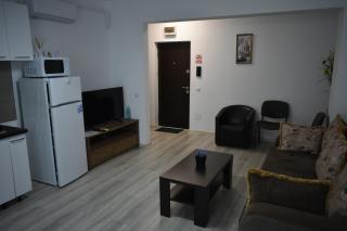 The Cozy apartment in the heart of Iasi - Iaşi - 2