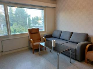 Laniakea- Entire Apartment, Yksiö - Oulu - 5