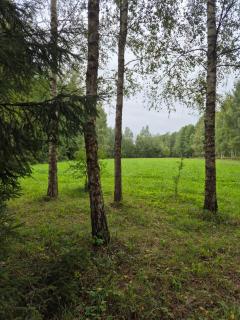 Vingri - - 3