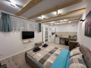 Cozy Central Studio Brasov - 5