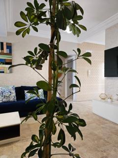 Séjour Confortable dans un appartement Élégant - 8