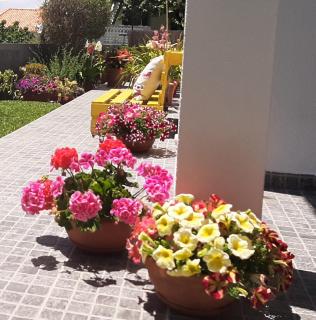 Casa Ventura - Arco da Calheta - 9