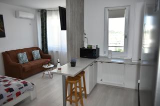 The Jungle apartment - Iaşi - 0