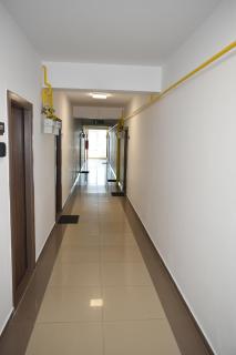 The Jungle apartment - Iaşi - 6