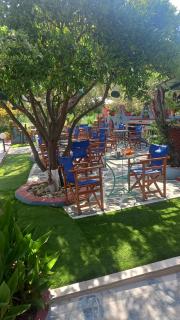 Pension Soula - Skopelos - 6