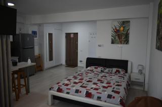 The Jungle apartment - Iaşi - 8