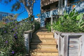 Seaside Splendor Luxury Oceanfront in St Aug - 3