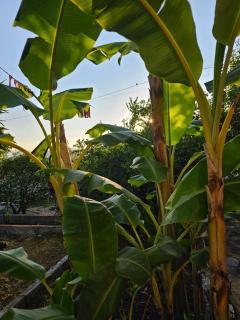 Kuqa Rent House - Ksamil - 7