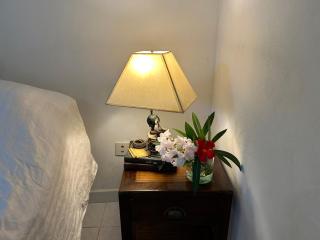 Charmant appartement avec jardin et terrasse - Venaco - 8
