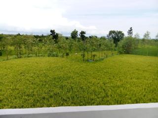 Villa Atenea - Praya - 9