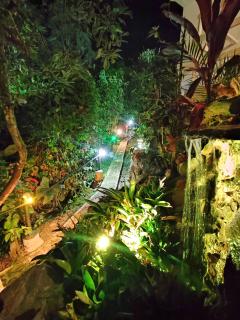 Montelungo Cabañas Glamping - - 2