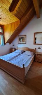 Osserapartment - Schwarzenbach - 1