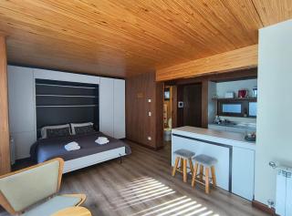 RAHUE, Monoambiente Céntrico con Patio Propio - 5