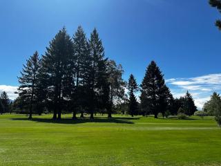 Green Keeper's Bach- Perfect Family Choice - Methven - 9