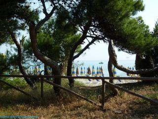 Ficus Pineto Vacanza - Pineto - 1