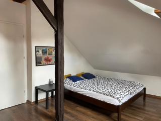 Piekny,duzy loft 80 metrow blisko centrum - 5