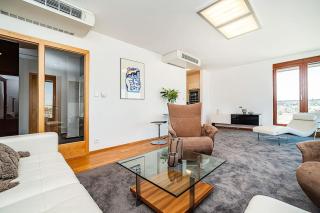 Shiny Rooftop Apart with Free Garage - 2