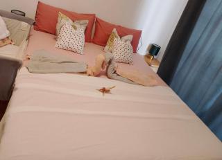Casa Bella - Torrevieja - 3