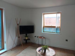 Spacious 2-bedroom apartment near Ponds Forge, Crucible Theatre and Sheffield Universities - Sheffield - 0