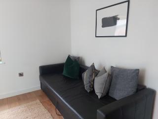 Spacious 2-bedroom apartment near Ponds Forge, Crucible Theatre and Sheffield Universities - Sheffield - 1