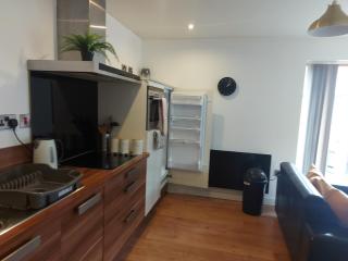 Spacious 2-bedroom apartment near Ponds Forge, Crucible Theatre and Sheffield Universities - Sheffield - 3